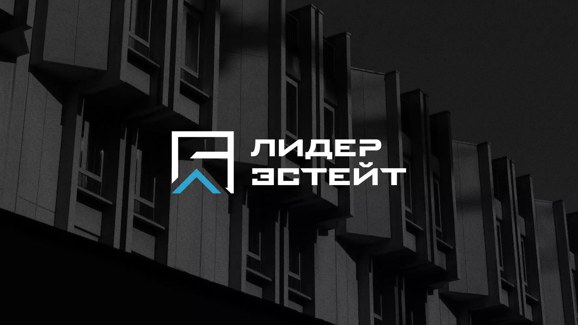 Разработка логотипа агентства недвижимости «Лидер Эстейт» в Якутске